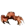 crabdance