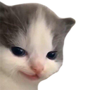 cathehehe Discord sticker - Lanie's Corner