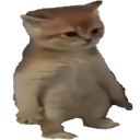 catstubby Discord Emoji | Lanie's Corner
