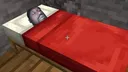 sleeb