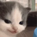 Muheheheh