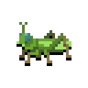 grasshopper
