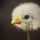 MA_BlowMe