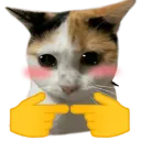 uwucat