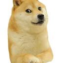 doge