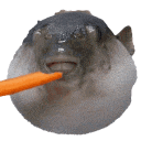 LcoMascotaDelServer Discord emoji