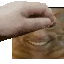 SmilyCat_Pet