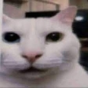 emoji_9 custom emote | ˚₊‧꒰ა 𝓣𝓱𝓮 𝓐𝓷𝓰𝓮𝓵𝓼 𝓸𝓯 𝓟𝓪𝓻𝓪𝓭𝓲𝓼𝓮 ໒꒱ ‧₊˚