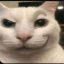 emoji_10 custom emote - ˚₊‧꒰ა 𝓣𝓱𝓮 𝓐𝓷𝓰𝓮𝓵𝓼 𝓸𝓯 𝓟𝓪𝓻𝓪𝓭𝓲𝓼𝓮 ໒꒱ ‧₊˚