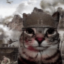 A cat wearing a military helmet with a serious, battle-worn expression.