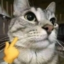 A gray cat looking thoughtful with a yellow hand emoji pointing to its chin.
