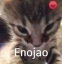 :Capturadepantalla20250317alas9:
