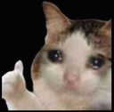 :Capturadepantalla20250317alas9: