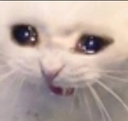 :Capturadepantalla20250317alas9: