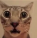 :Capturadepantalla20250317alas9: