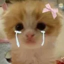 KittyCry