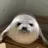 sealstare sealstare