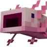 axolotl_pog