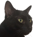 Xena Discord emoji