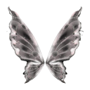 1b_butterfly2