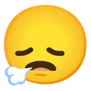 vansigh vansigh