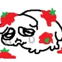 xotomato