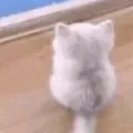 WaitingCat