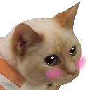 omg