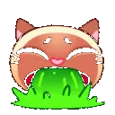 a_cat_puke