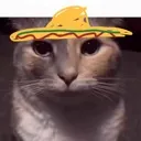 catfrommexico