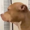 youhuh