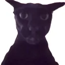 larry
