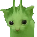 CE_Gnarp3 CE_Gnarp3
