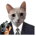 CE_gun CE_gun