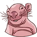 kparche