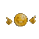 NHM_brazil Discord emoji