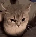 sad