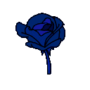 rose_blue
