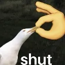 shut