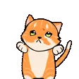straydonjump