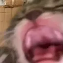 AAAA