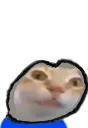 ermgi