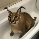 floppa_tub