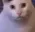 HUH1x1