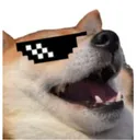 dogekek2