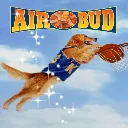 aviationcompanion
