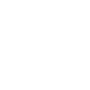 ZL