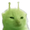 glorp