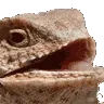 hehe