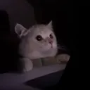 emoji_500